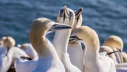 爱游戏入口-国足热身赛小胜日本队，国足热身赛大胜