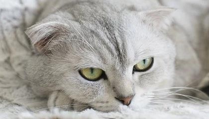 爱游戏入口-国足热身赛小胜日本队，国足热身赛大胜