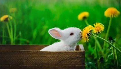 爱游戏入口-国足热身赛小胜日本队，国足热身赛大胜